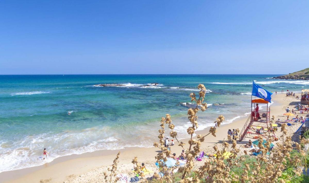 Villa Marci Con Piscina Privata A Nulvi エクステリア 写真