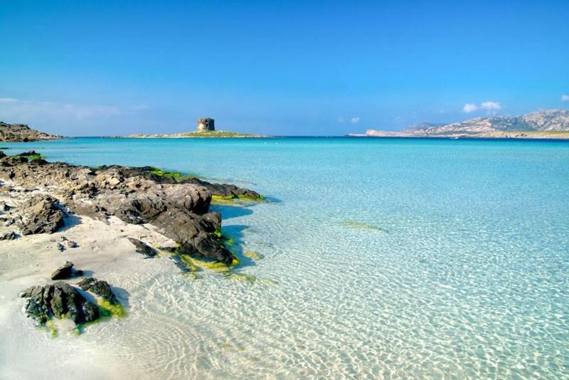 Villa Marci Con Piscina Privata A Nulvi エクステリア 写真